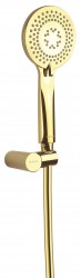 DEANTE - Arnika zlato - Sprchový set, s pevným držiakom (NQA_Z41K)