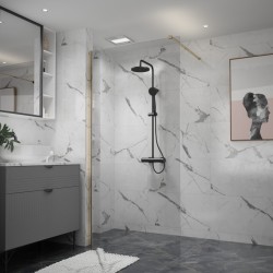 Erga Paris, sprchová zástena Walk-In 50x200 cm, 8mm číre sklo, zlatý lesklý profil, ERG-V02-PARIS-050x200-CL-GD (ERG-V02-PARIS-050X200-CL-GD)