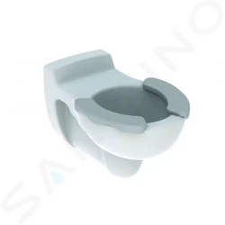 GEBERIT - Bambini Závesné detské WC, 330x535 mm, biela / sivá plocha (201715000)
