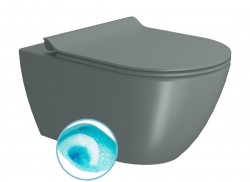 GSI - PURA závesná WC misa, Swirlflush, 36x55cm, agave dual-mat (881504)