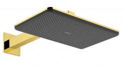 HANSGROHE - Raindance Alive Q Hlavová sprcha, 21x34 cm, 2 proudy, leštěný vzhled zlata (24550990)