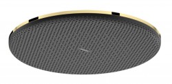 HANSGROHE - Raindance Alive S Hlavová sprcha, průměr 30 cm, EcoSmart+, leštěný vzhled zlata (24523990)