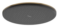 HANSGROHE - Raindance Alive S Hlavová sprcha, průměr 30 cm, kartáčovaný bronz (24520140)