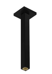 HANSGROHE - Sprchové rameno stropné, 31 cm, matná čierna (24339670)