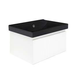 Kúpeľňová skrinka s umývadlom SAT Evolution 58x30x45 cm biela mat SATEVO60WMU1MB (SATEVO60WMU1MB)