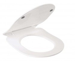 Resa R Kludi (23WCS43)