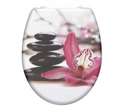 Schütte Schütte WELLYNESS | Duroplast, Soft Close (4008431823768)