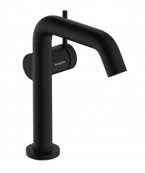 Tecturis S Hansgrohe (73340670)