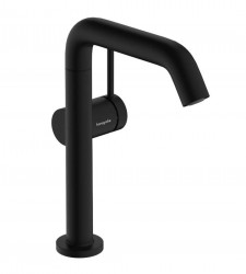 Tecturis S Hansgrohe (73364670)